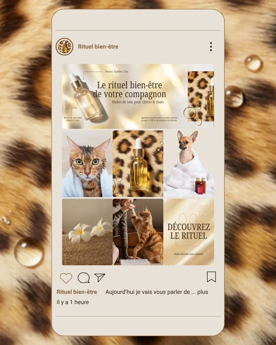 Vitrine Instagram 2 Mobile