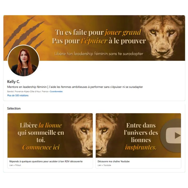 Profil professionnel 3